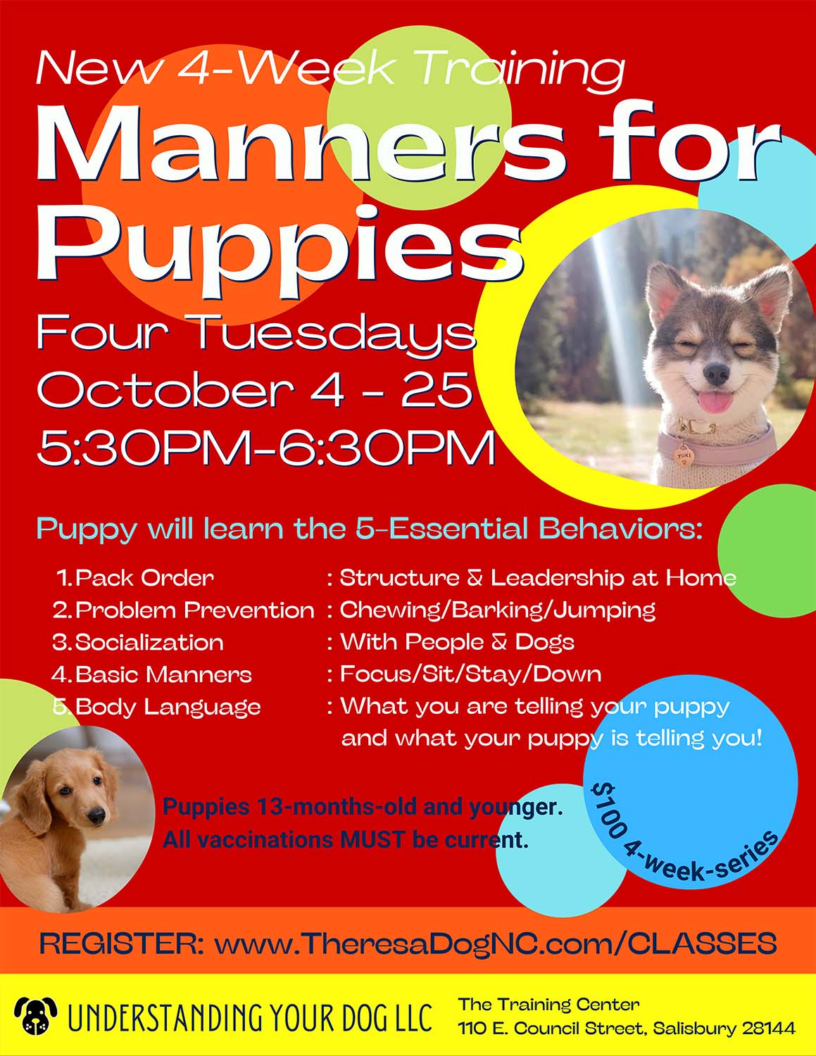 Manners For Puppies Understanding Your Dog