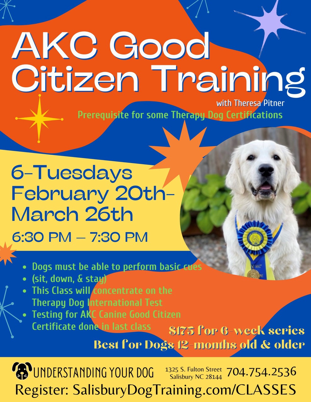 Akc therapy dog hot sale training near me