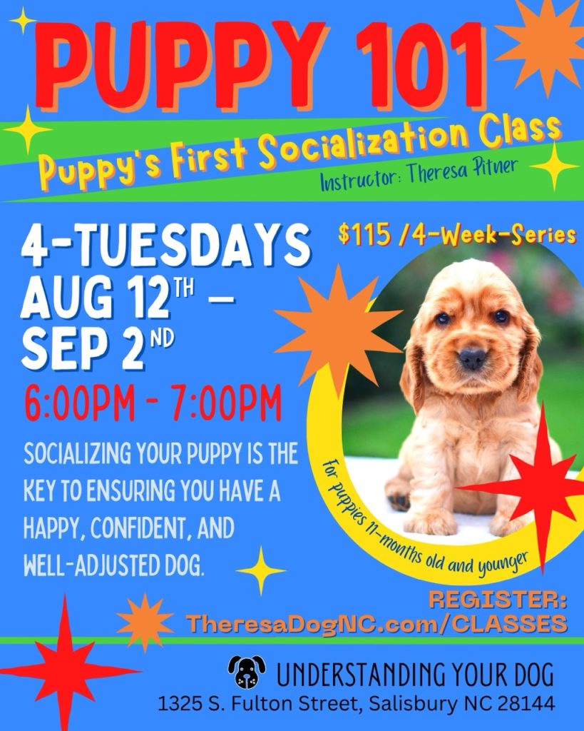 Puppy 101_AUG2025 - 1