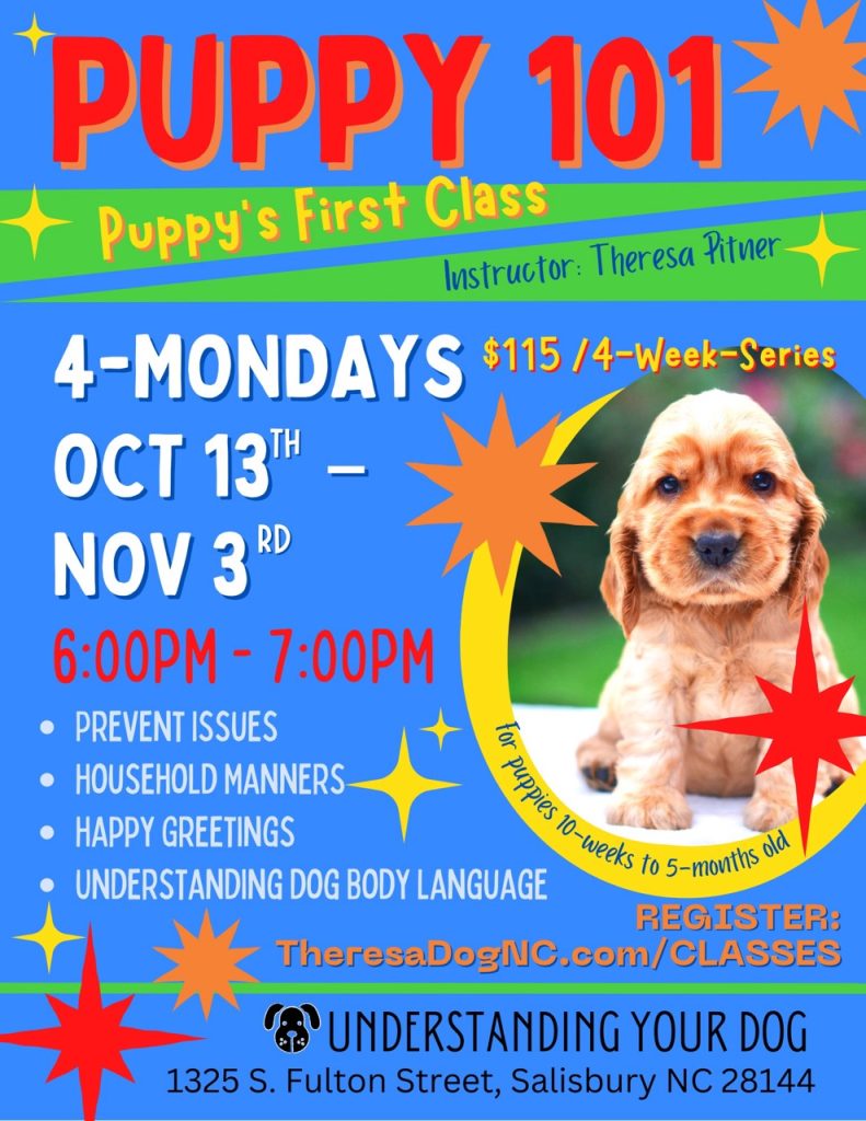 Puppy 101_OCT2025 - 1