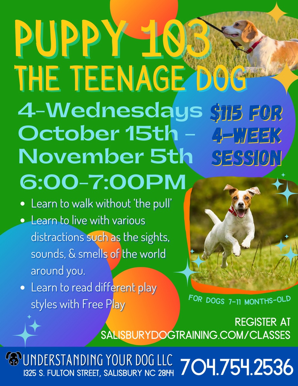 Puppy 103_OCT2025 - 1