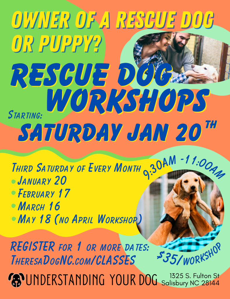 Rescue Dog W_Jan 20