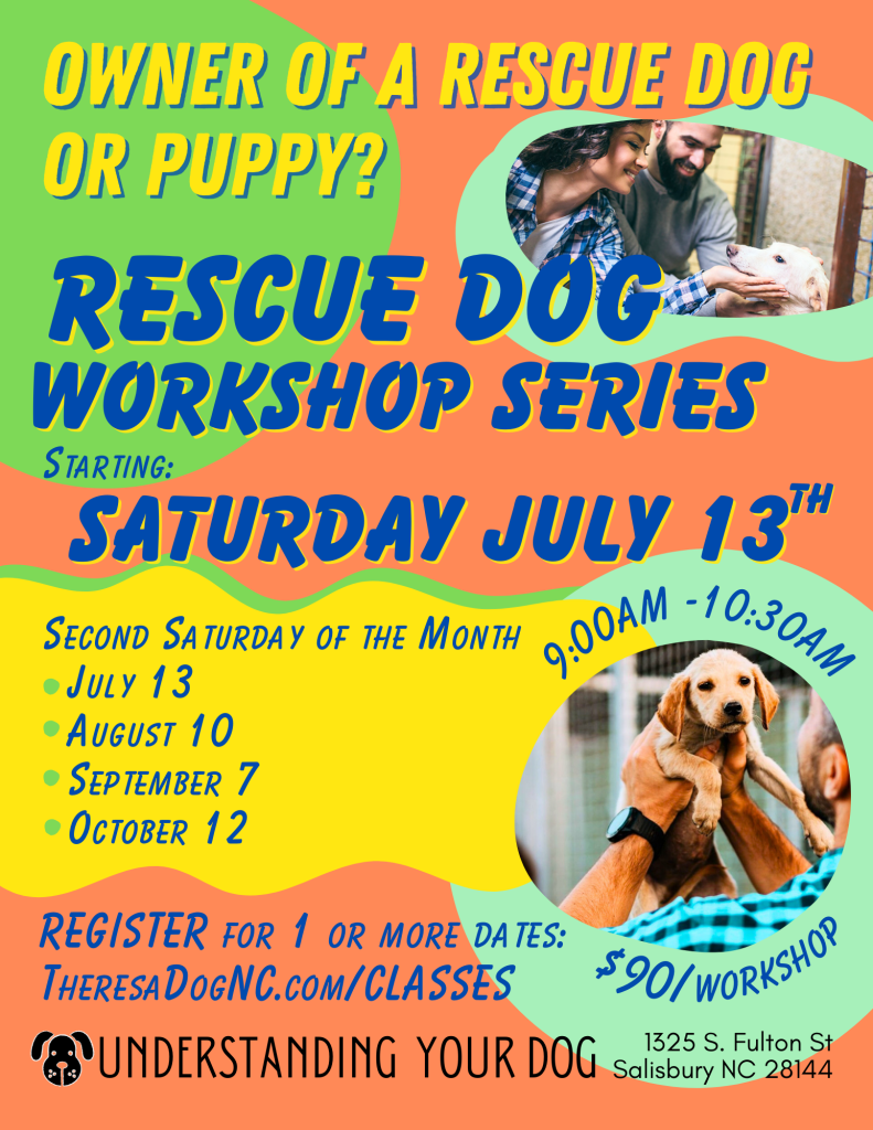 Rescue Dog_July 13