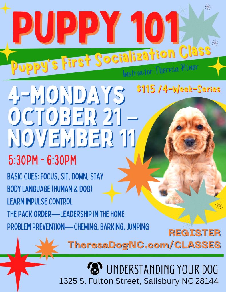 Puppy 101_Oct2024