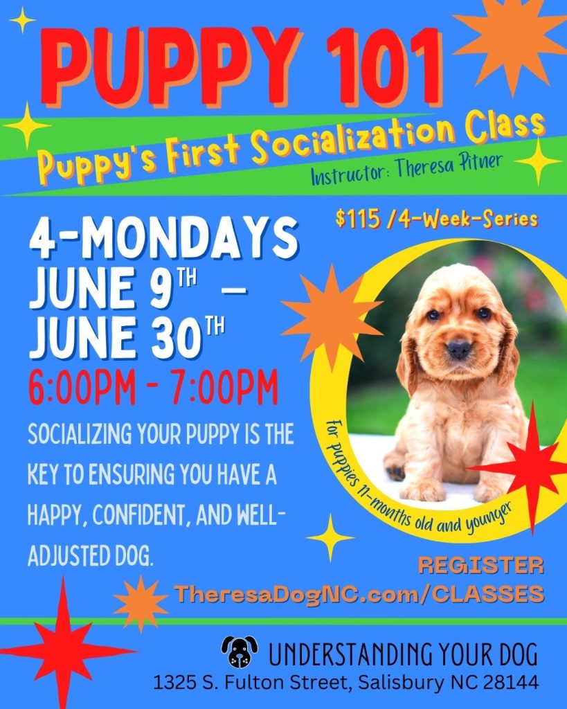 puppy-101