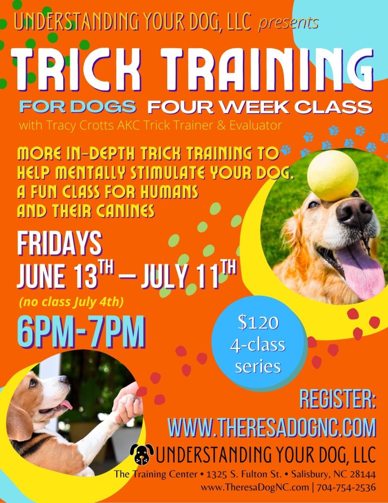 trick-training