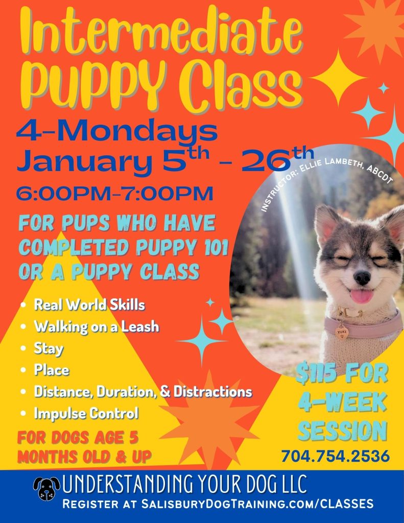 Puppy_Intermediate_2026-01