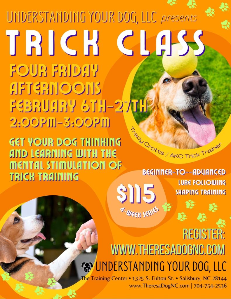 Tricks_2026-02_Flyer