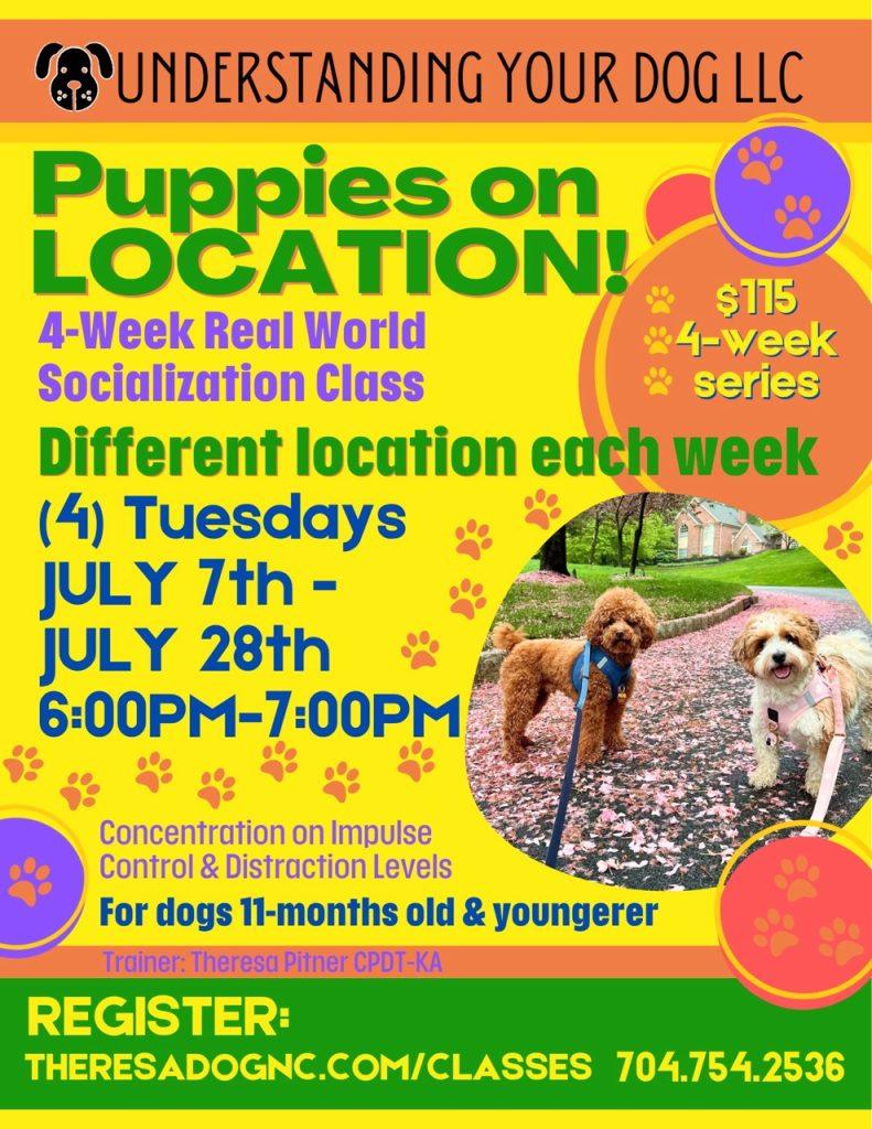 PUPPY LOCATION_JULY2026_rev (Instagram Post (4:5)) - 2