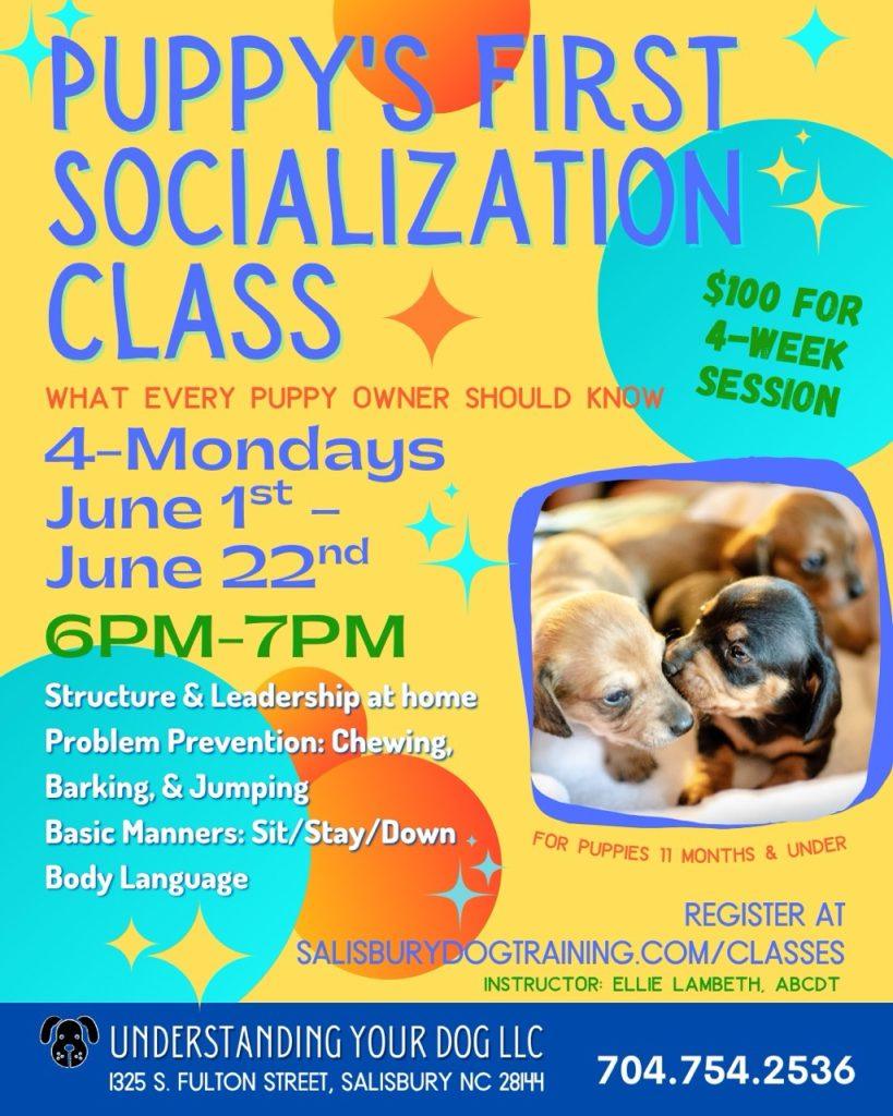 Puppy Socialize_June2026_rev (Instagram Post (4:5)) - 1