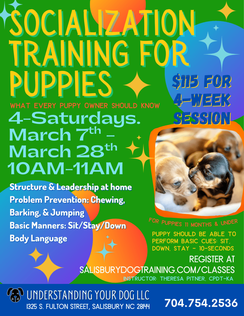 Puppy Socialize_Mar2026