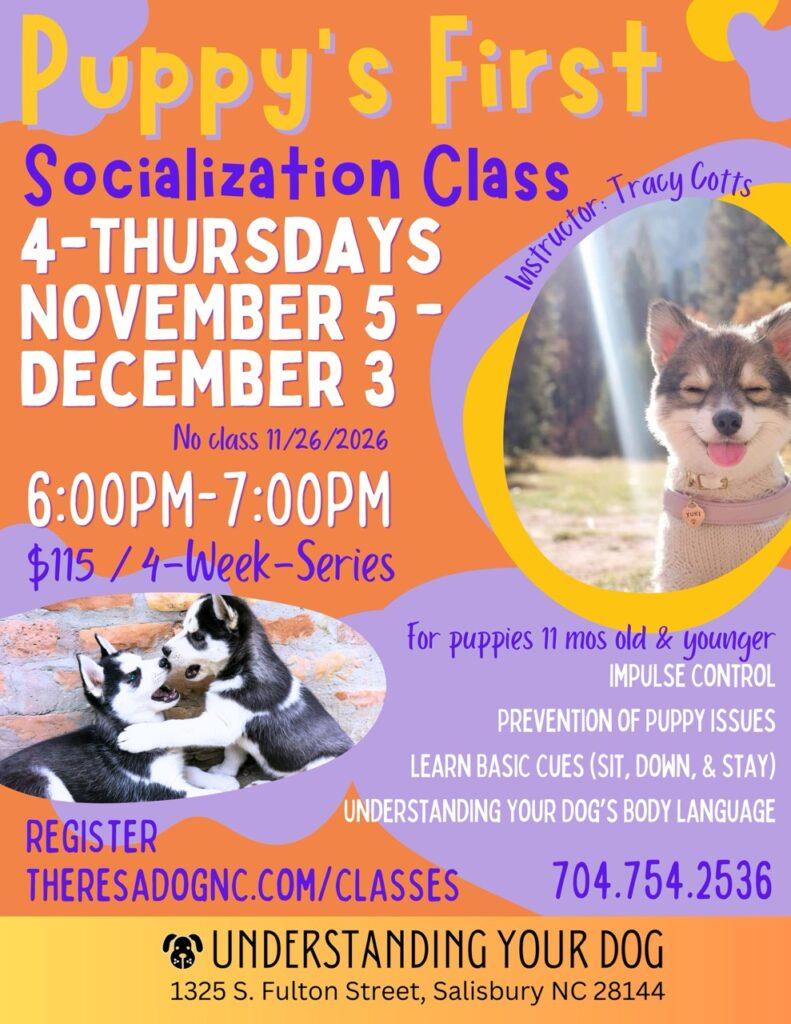 Puppy1stSocial_Nov-Dec2026 Large